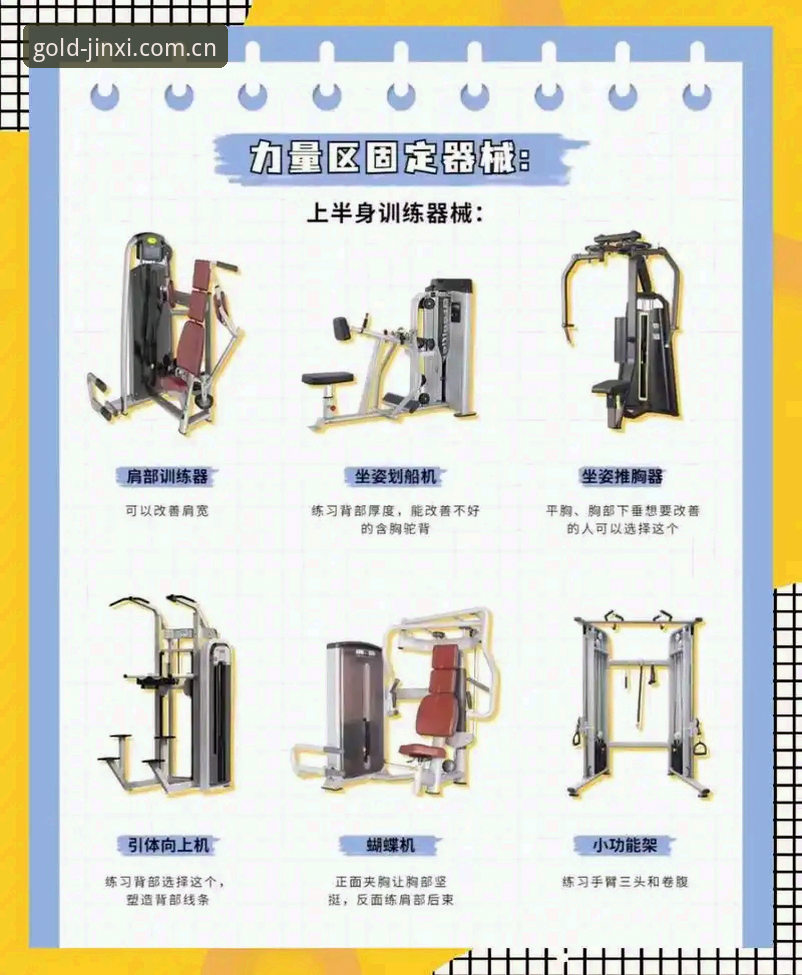 金喜体育使用教程哪个好 金喜体育使用教程哪个好?新手必看的完整选择指南